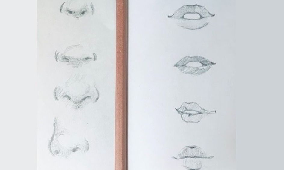 Let S Draw Semi Realistic Nose And Mouth Small Online Class For Ages 10 14 Outschool Below is a diagram of a nose broken down into 3 separate parts: let s draw semi realistic nose and mouth small online class for ages 10 14