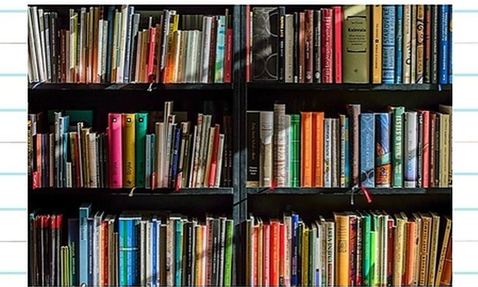 How To Write A Book Report Small Online Class For Ages 9 12