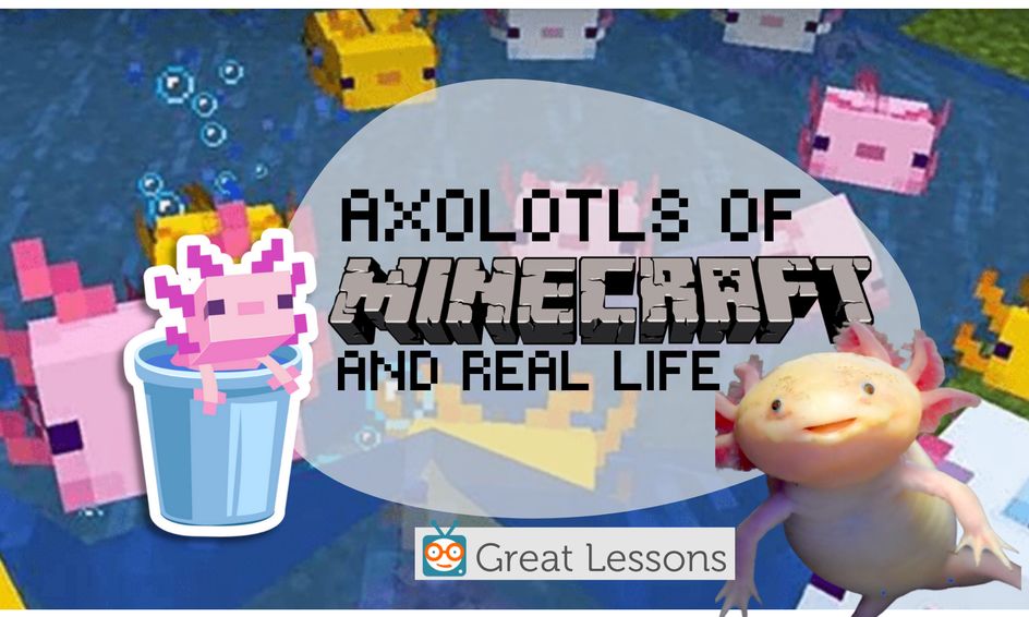Axolotls Of Minecraft And Beyond Discover All About Amazing Axolotls Small Online Class For Ages 6 10 Outschool