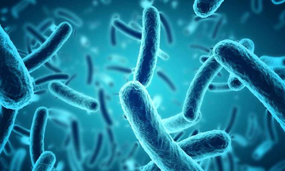 The Unseen World A Journey Through Microbiology Small Online