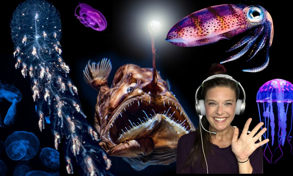 Midnight Zone Marine Biology Masters: Explore the Deep Dark Ocean