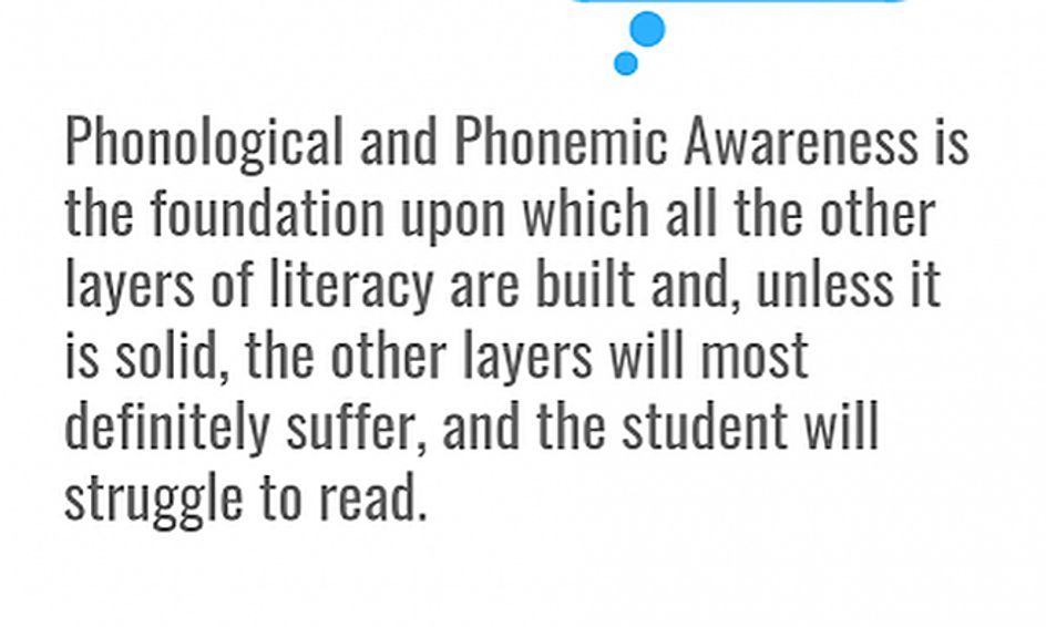 Private 1 1 Phonemic Awareness Assessment Report And Learning