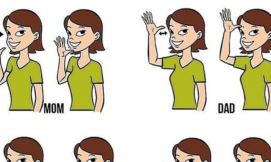 Intermediate sign language course part 2 small online class for
