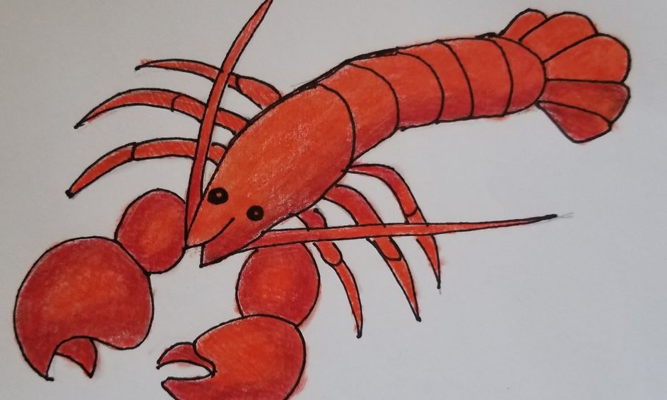 Let's Draw Directed Drawing Ocean Animals Lobster Small Online
