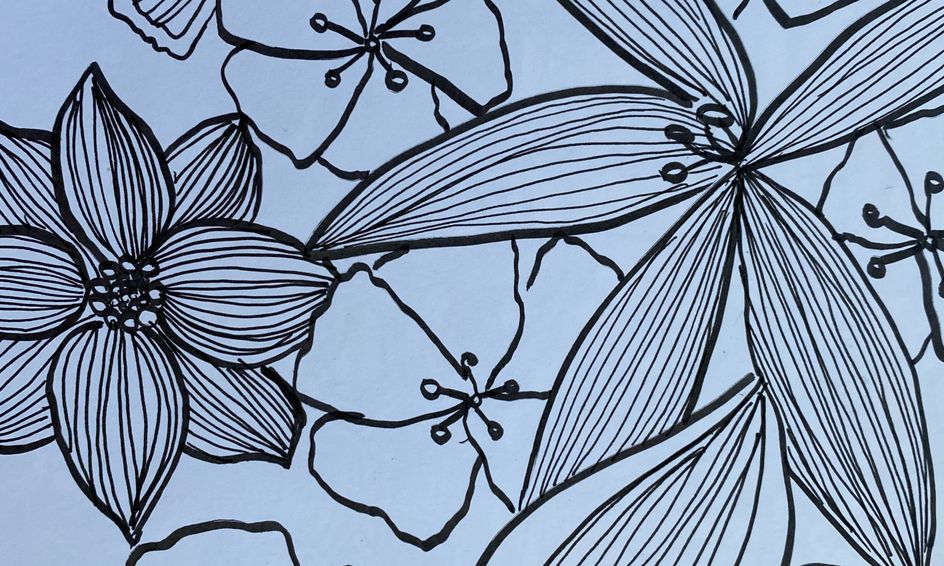 Let S Create Animals Flowers And Mandalas Using Doodle Drawing Technique Small Online Class For Ages 7 12 Outschool,Cartoon Easy Step Cartoon Crocodile Drawing For Kids
