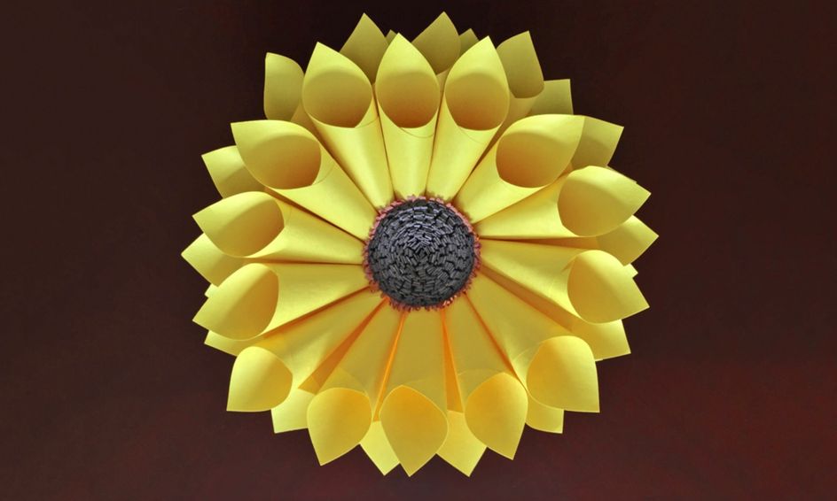 3d Paper Flowers Botany Vol 2 3 Day Course Small Online Class For Ages 7 12 Outschool