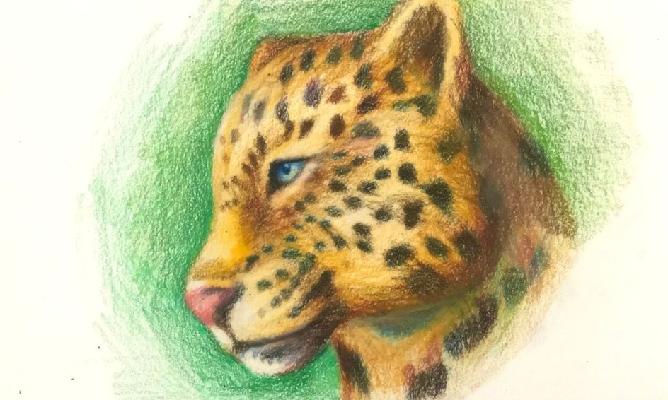 Drawing Learn How To Draw An Animal Portrait Jaguar Small