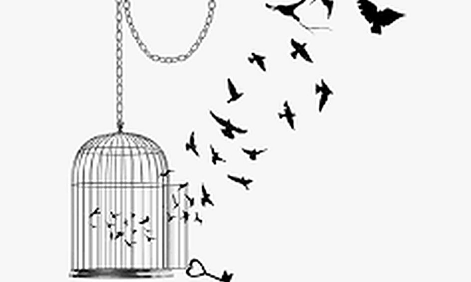 A Study Of Maya Angelou S Caged Bird And Its Modern Day Relevance Small Online Class For Ages 12 15 Outschool