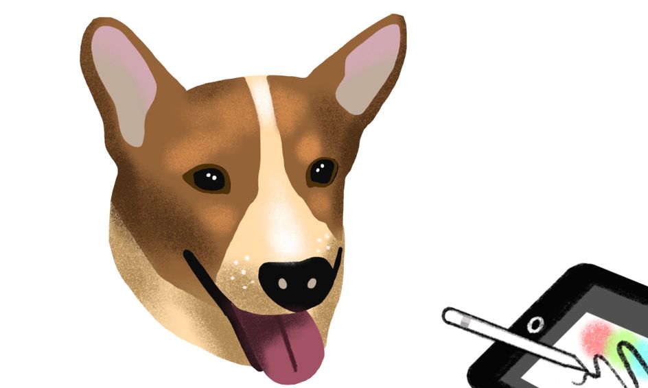 Let S Do Digital Painting Of Your Own Pet Small Online Class
