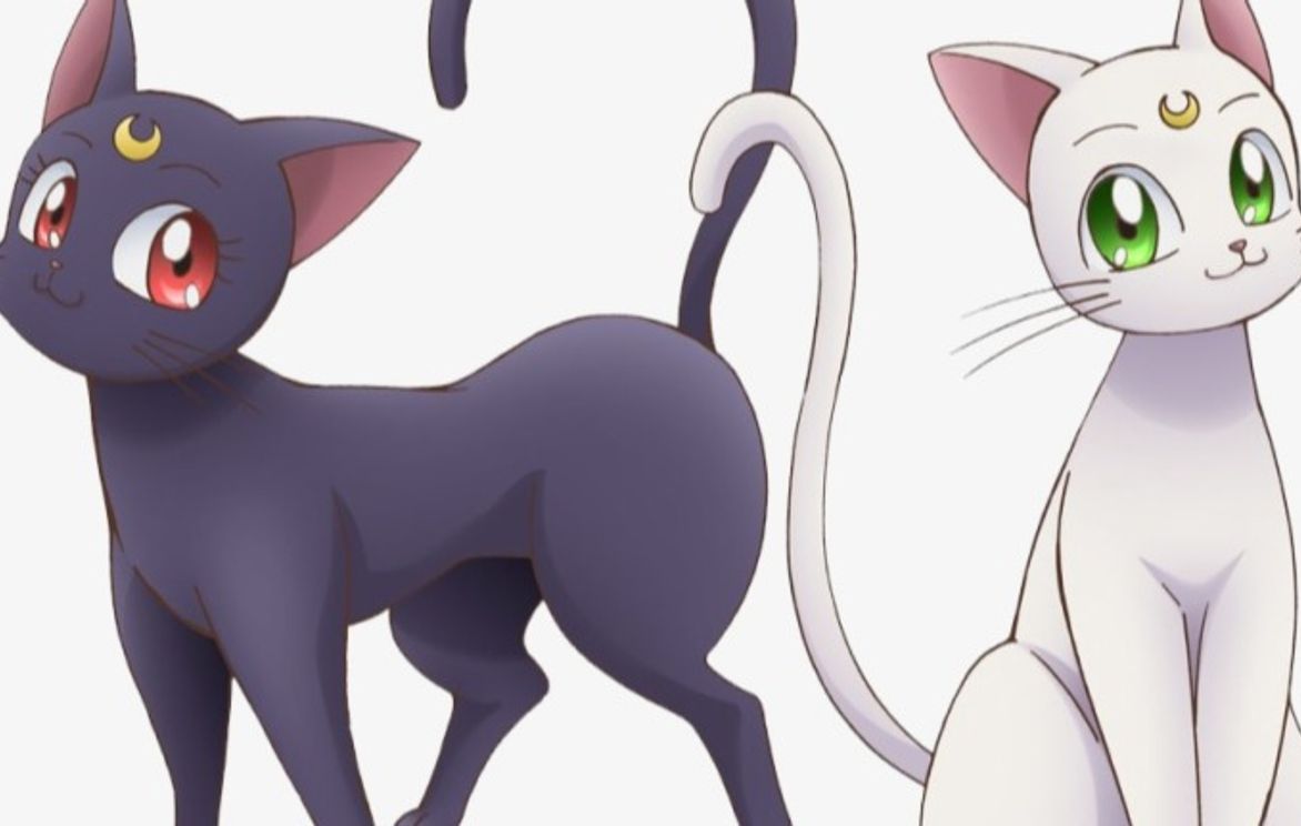 Animals of Anime! Lets Draw Some Cute and Fun Anime Animals | Small Online  Class for Ages 6-11