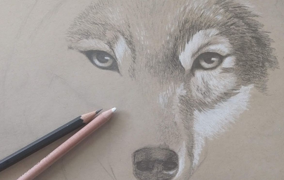 How To Draw Wolves | Small Online Class For Ages 8-12