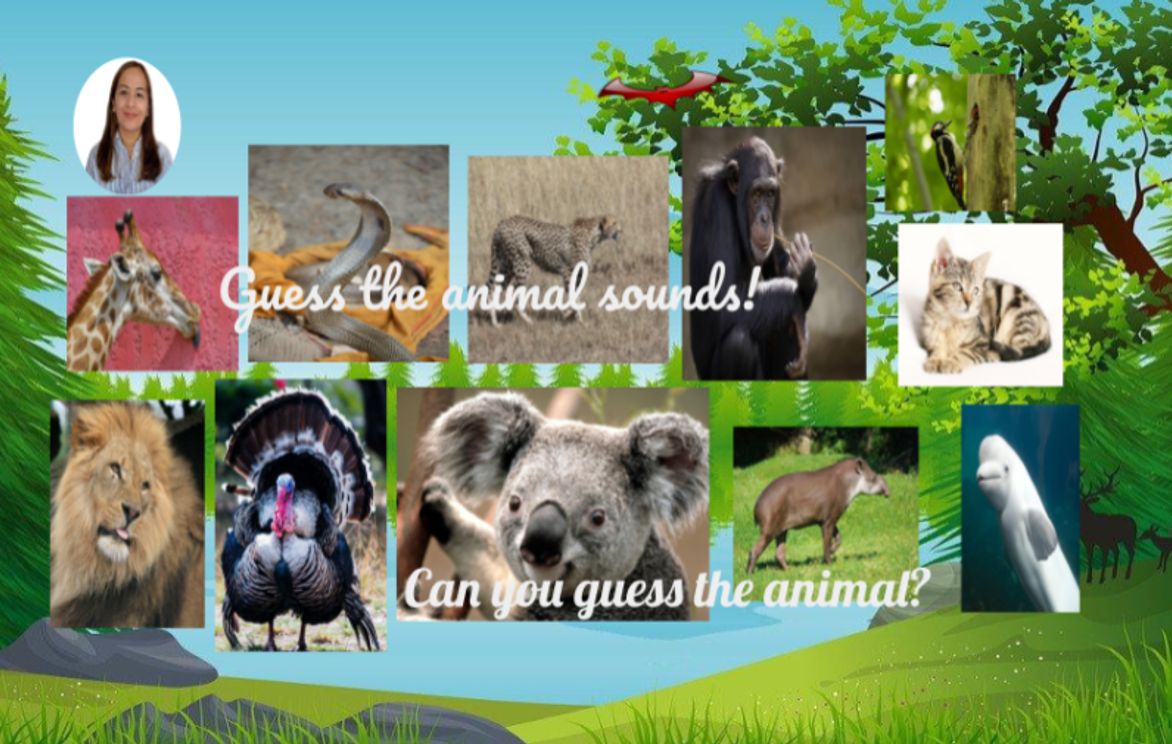 Guess the Animal Sound Game! - Can You Guess the Animal? (4-6) | Small