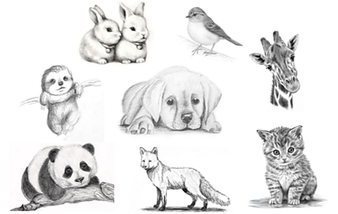 8-Week Pencil Sketching - Realistic Animals | Small Online Class for Ages  8-13