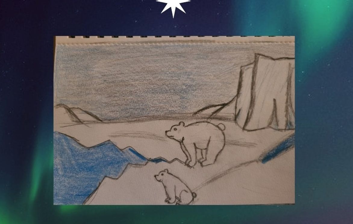Explore And Draw The Beautiful Arctic Tundra | Small Online Class For Ages  7-11