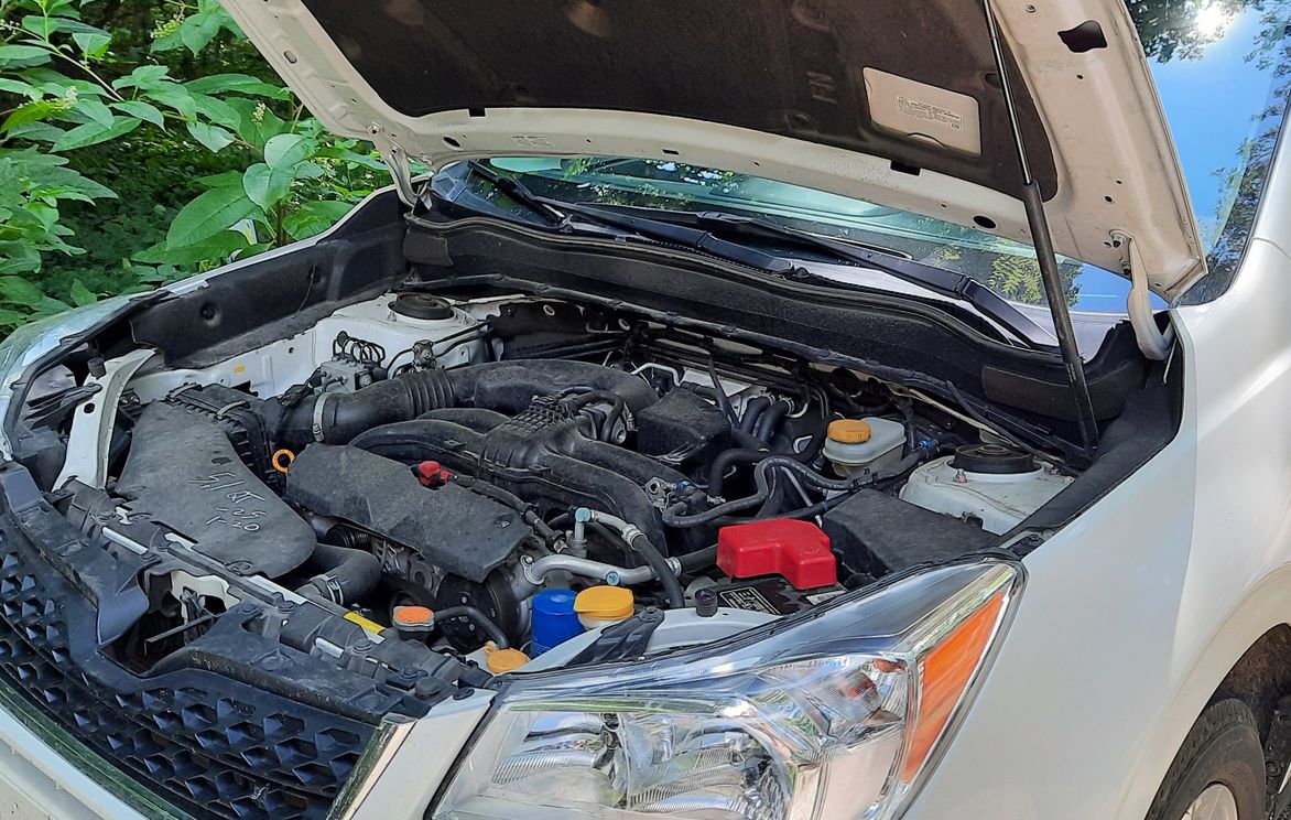 Automotive What's Under the Hood?! (Part 4 of 4) (Age 1114) Small