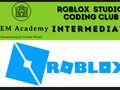 A Roblox Coding and Design Syllabus for 8 year olds – ZAFU LABS
