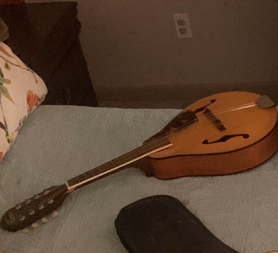 This is a Mandolin 
