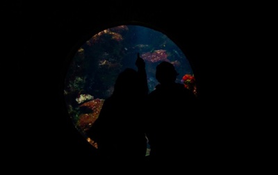 Parents at aquarium(Academy of sciences)