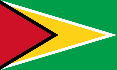Guyanese Flag 