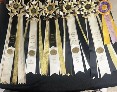 Cat Show Ribbons 