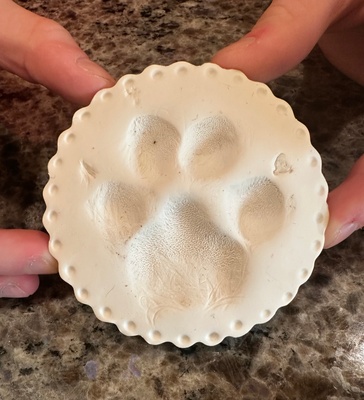 Squirts Pawprint. (My parents dog)