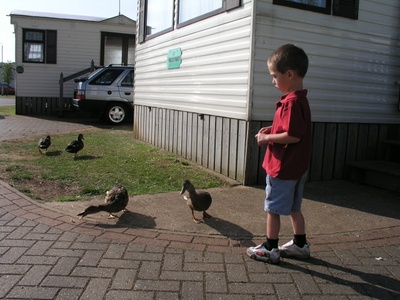 Me feeding the ducks alone. 2004 