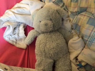 a brown teddy bear lies on a blanket