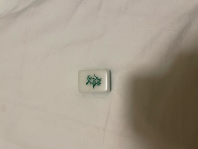 one of the mahjong tiles.