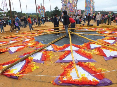 Giant Kite