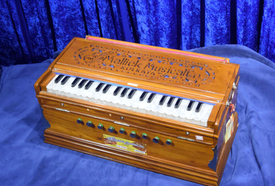 This is a Harmonium. There are others.