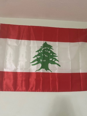 The official flag of Lebanon