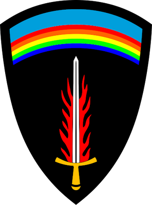 The sleeve insignia.