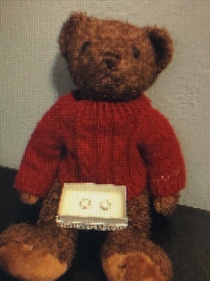 Teddy bear & earrings 
