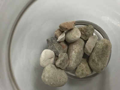 Stones from the lake shore in Zalozhits