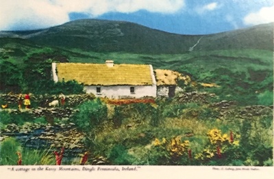 painting of my Nana's home in Ireland. 
