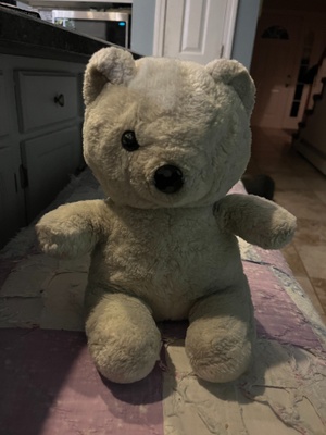 A picture of White bear (present)