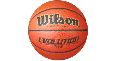 Wilson Evolution basketball