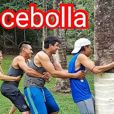 Arranca Cebolla