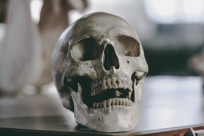 Wooden Skull