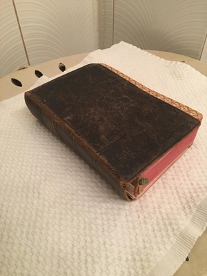 The Battered Family Bible