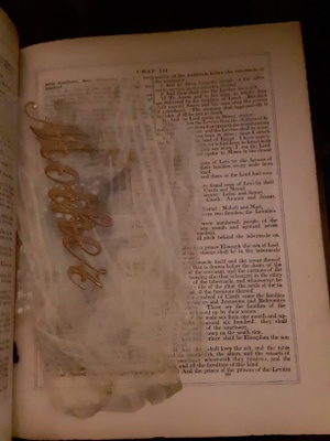Old objects from previous generations are kept within the pages