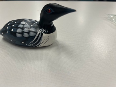 Loon sitting on table