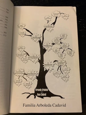 One of the early pages, with a family tree