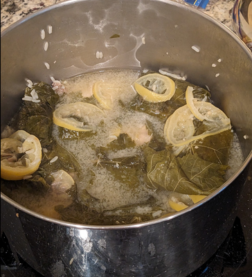 Rolled leaves cooking in a large pot with lemon slices