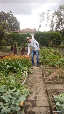 Checking my garden 
