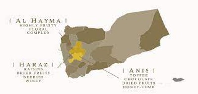 Cities in Yemen where coffee is mostly produced