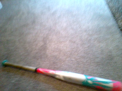 My softball bat. 
