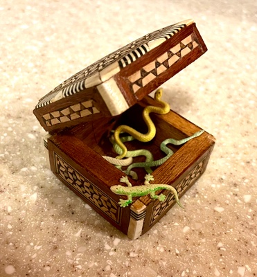 Wooden box w/ colored reptiles inside